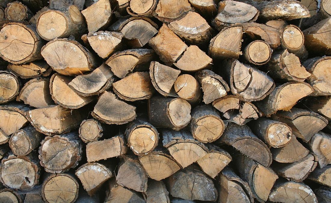 A stack of firewood
